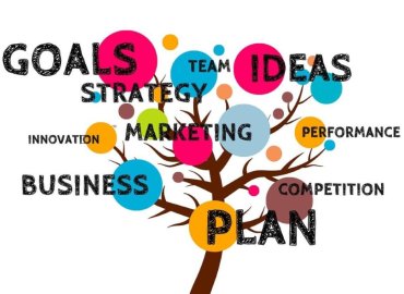 Business Development Services